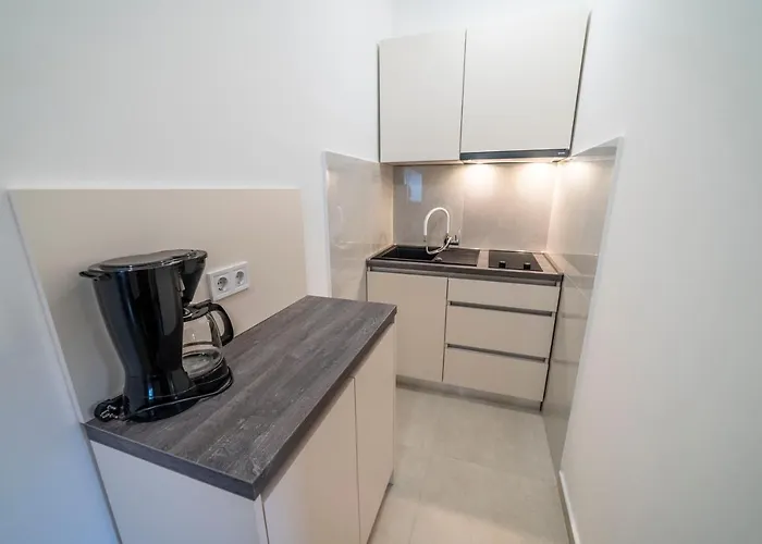 Apartament Goga